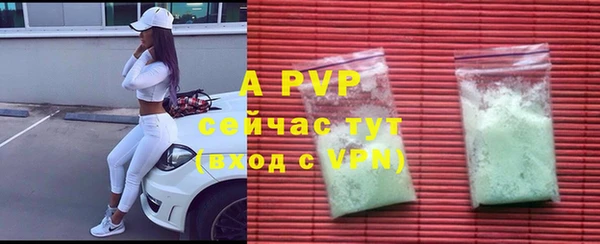 apvp Пестово