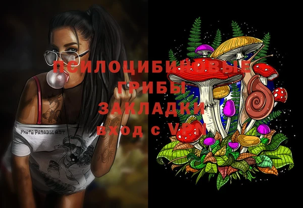 apvp Пестово
