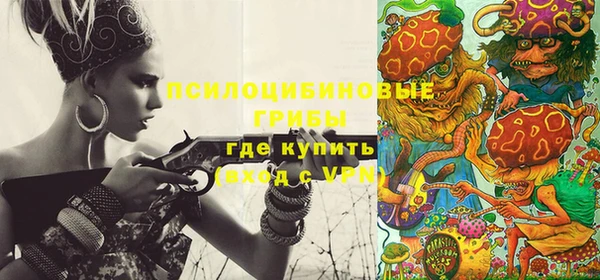 бошки Пересвет