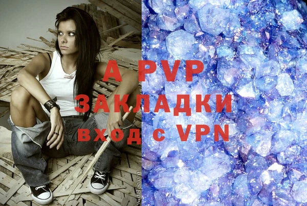 бошки Пересвет